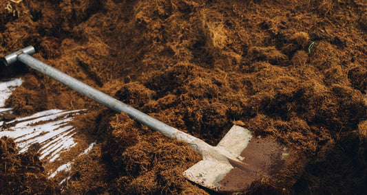 Dumping Grounds (Another HoM original short story)