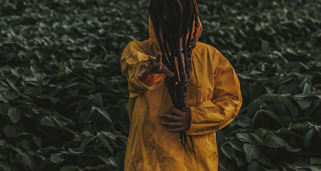 Our Top 10 Scary Movies