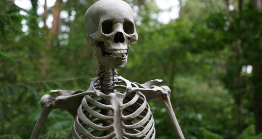 Ash and Bone (2022)