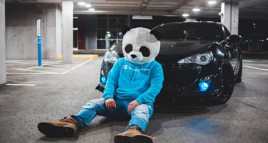 Cocaine Bear (2023-Revisited)