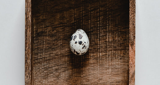 Hatching (2022)