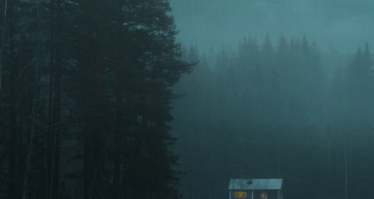 Knock at the Cabin (2023 - revisited)
