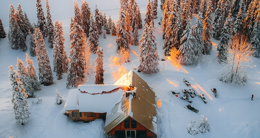 Snow Falls (2023)