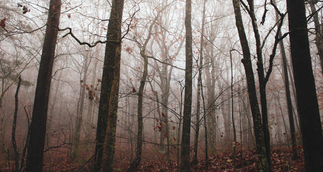 Lost (Another HoM original short story)
