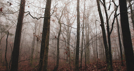 Lost (Another HoM original short story)