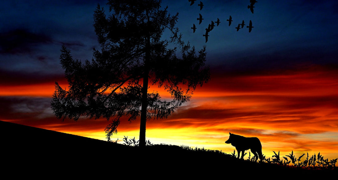 The Wolf of Snow Hollow (2020)